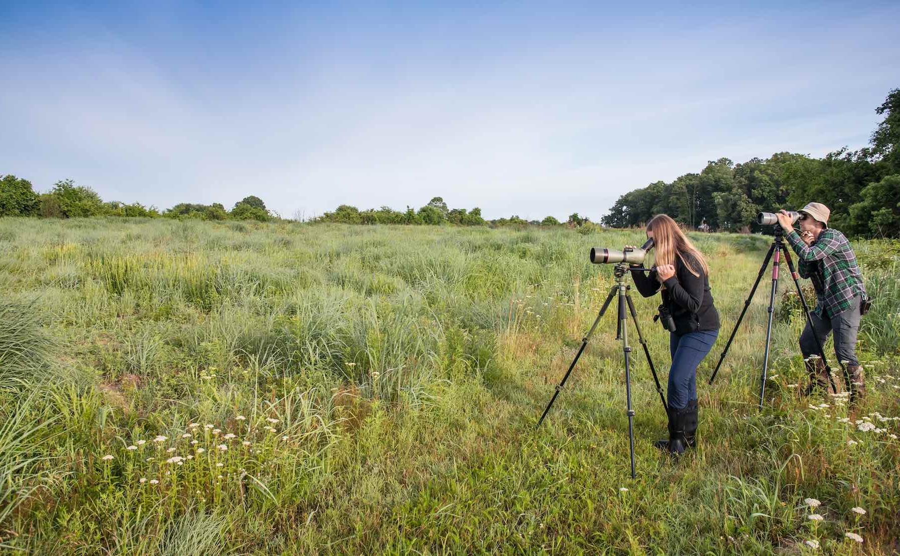 ces_grasslands_research